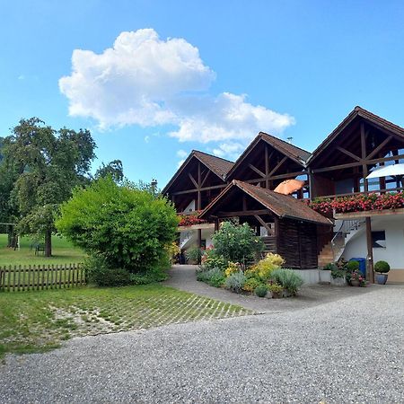 Ferienwohnungen Gabi Hermann Бодман-Людвигсхафен Экстерьер фото